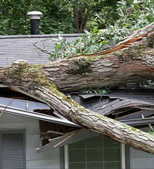 storm damage