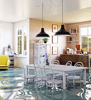 water mitigation